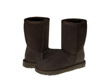 Load image into Gallery viewer, CLEARANCE. CLASSIC SHORT ugg boots. NO RETURN.